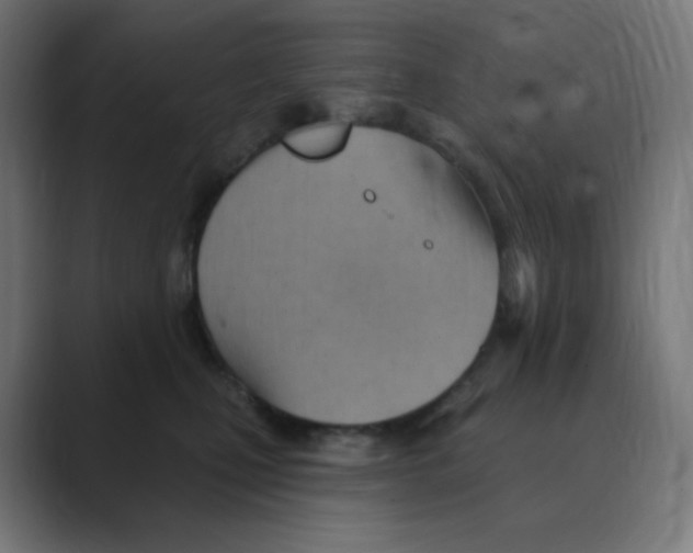 X0000088490471200706191428
