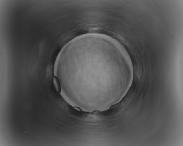 X0000088490475200706191428