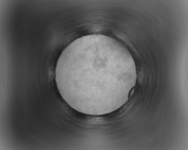 X0000088490476200706191428