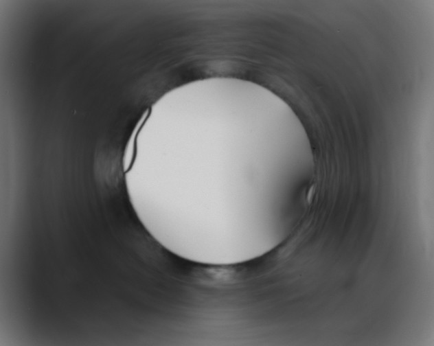 X0000088490478200706191428