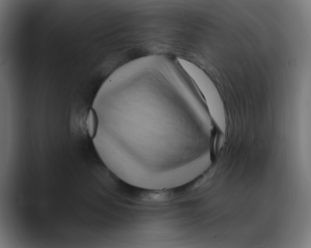 X0000088490479200706191428