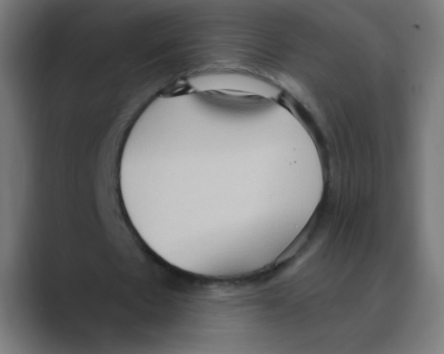 X0000088490481200706191427