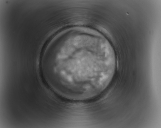 X0000088490483200706191427