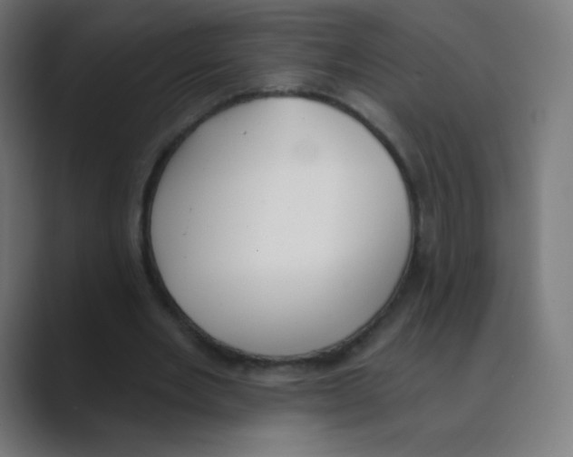 X0000088490485200706191427