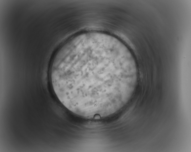 X0000088490487200706191427