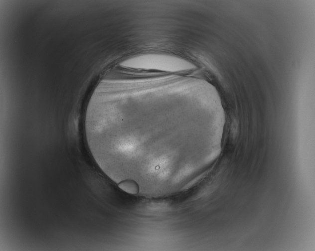 X0000088490491200706191427