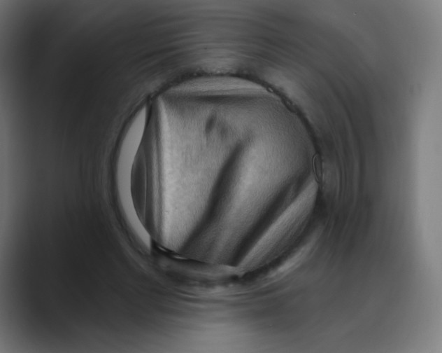 X0000088490493200706191427