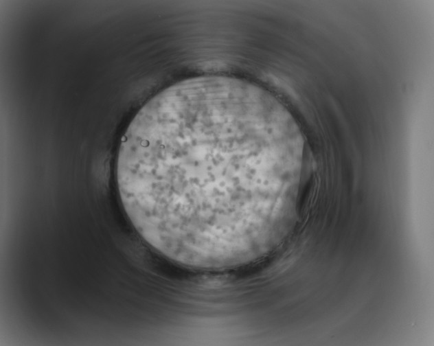 X0000088490495200706191427