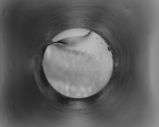 X0000088490503200706191427