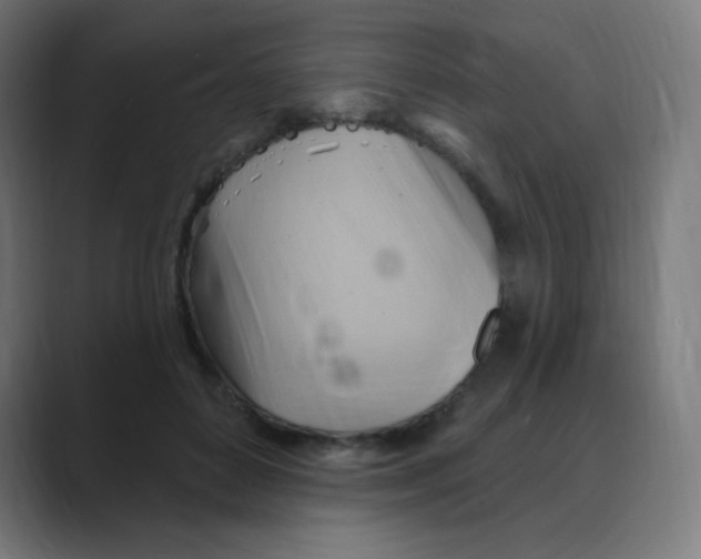 X0000088490504200706191427