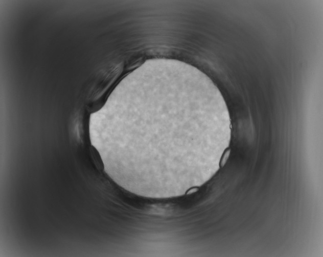 X0000088490508200706191427