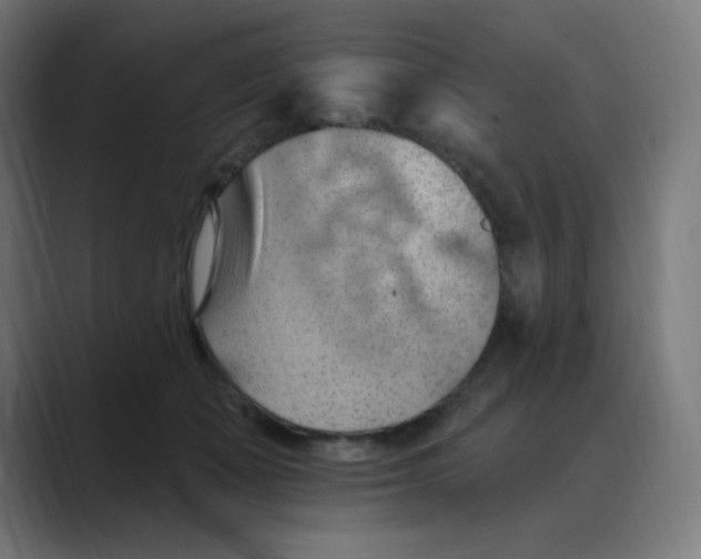 X0000088490511200706191427