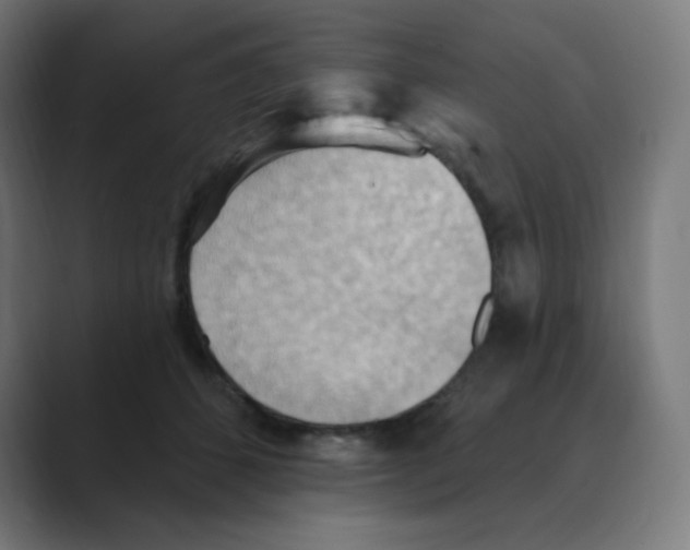 X0000088490512200706191427