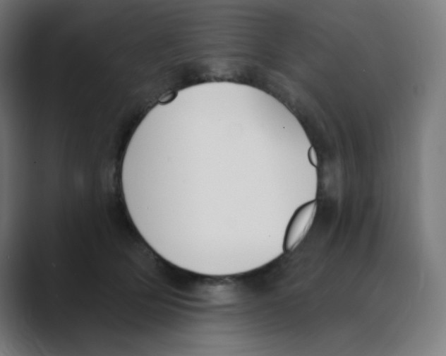 X0000088490514200706191427