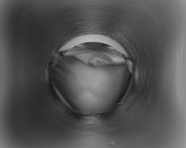 X0000088490516200706191427
