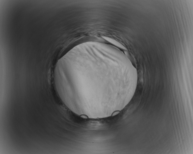 X0000088490519200706191427