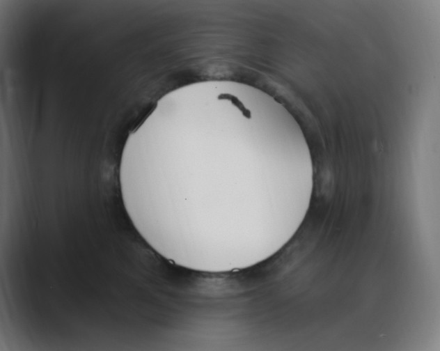 X0000088490521200706191427