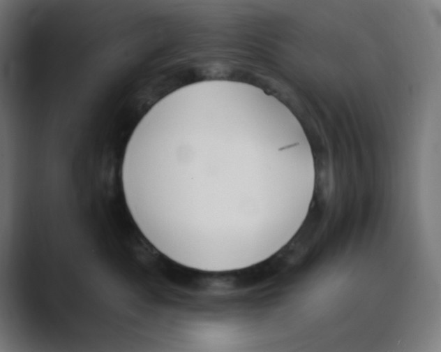 X0000088490525200706191427