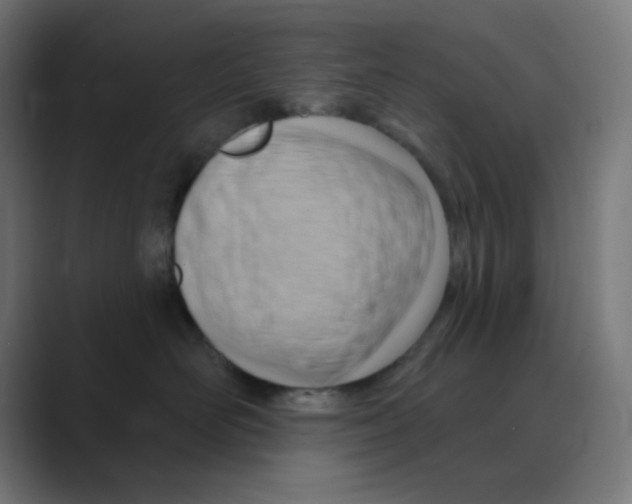 X0000088490526200706191427