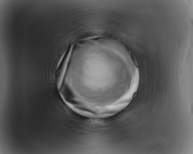 X0000088490528200706191427