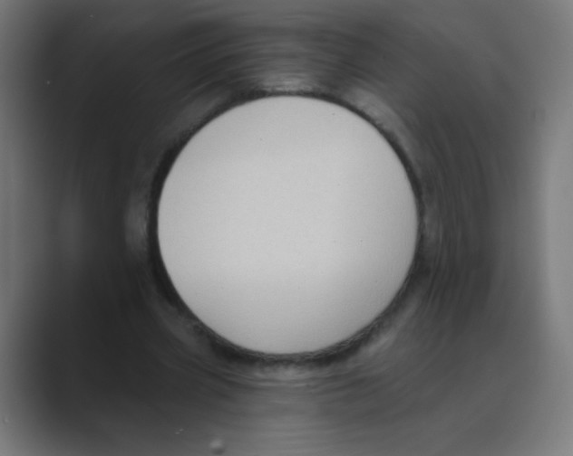 X0000088490533200706191426