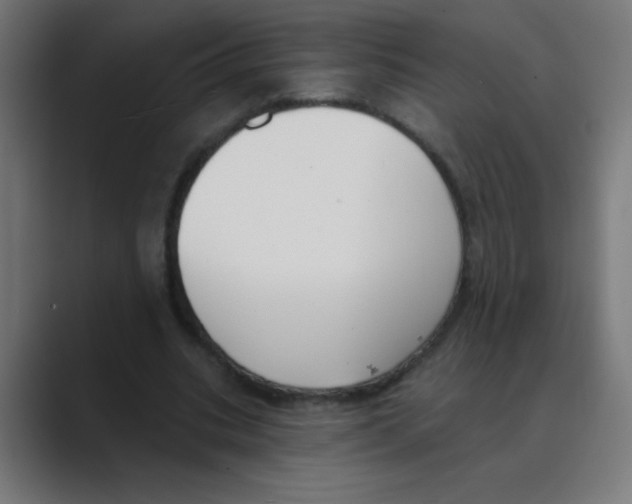 X0000088490535200706191426