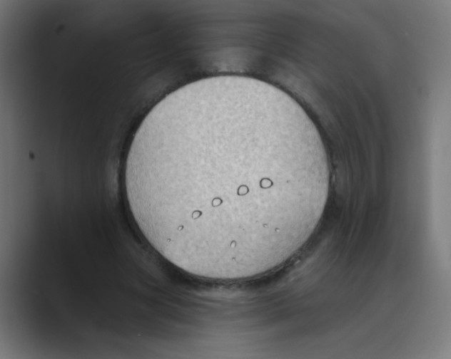 X0000088490537200706191426