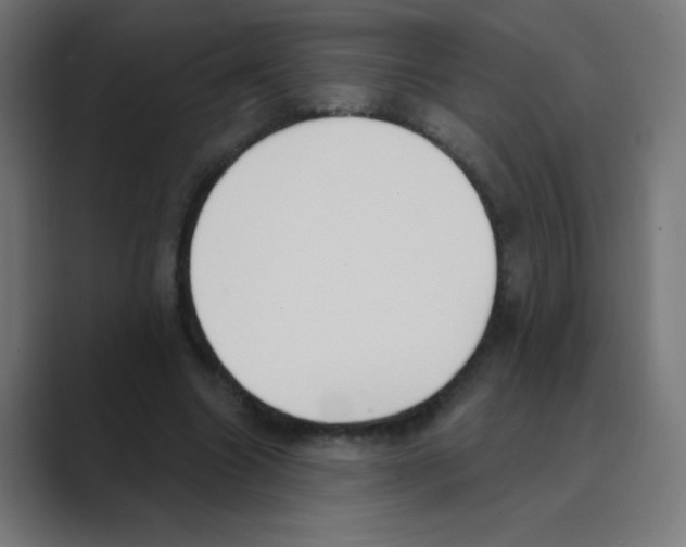 X0000088490538200706191426