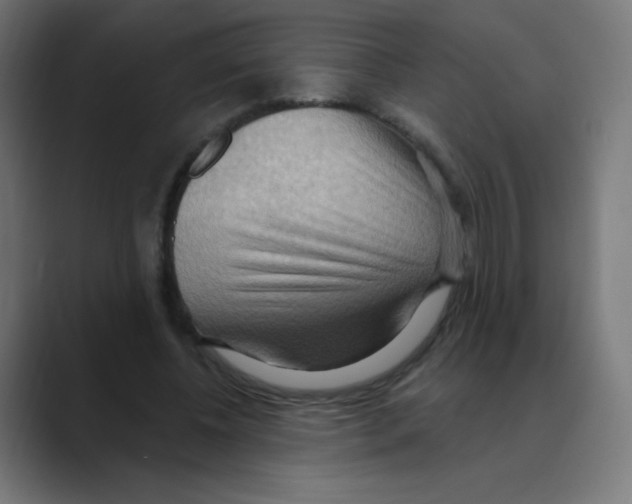 X0000088490540200706191426