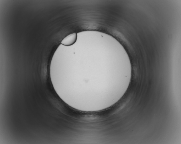 X0000088490541200706191426