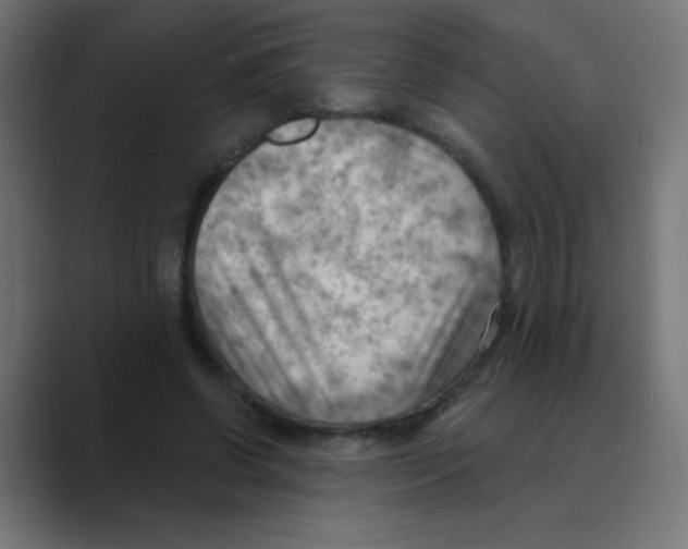 X0000088490542200706191426