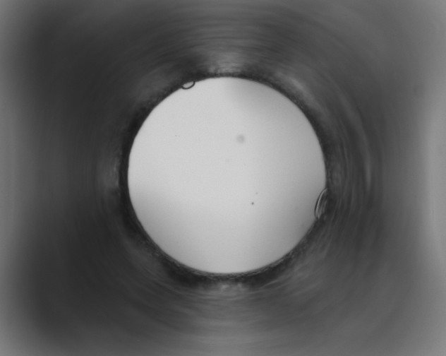 X0000088490543200706191426