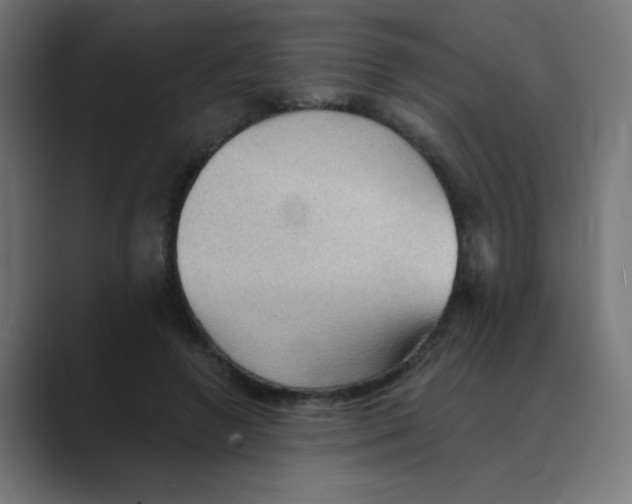 X0000088490546200706191426