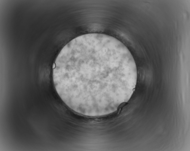 X0000088490550200706191426