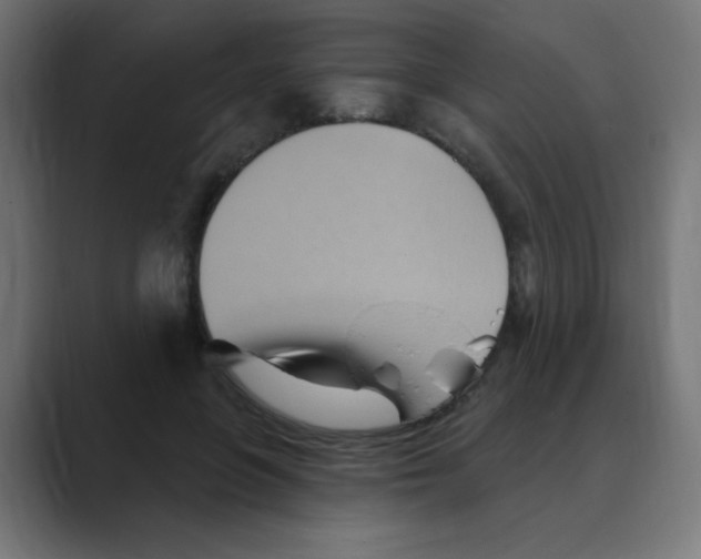 X0000088490551200706191426