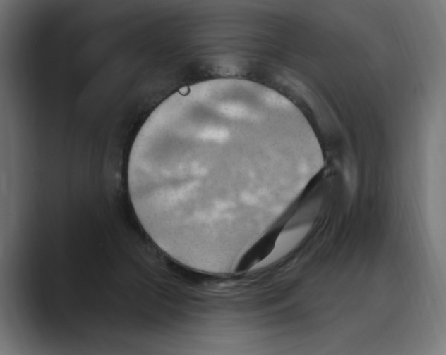 X0000088490553200706191426