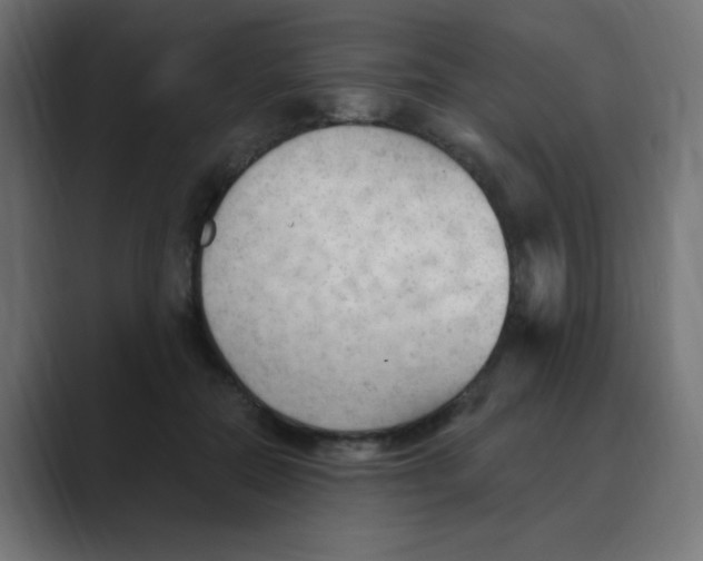 X0000088490554200706191426
