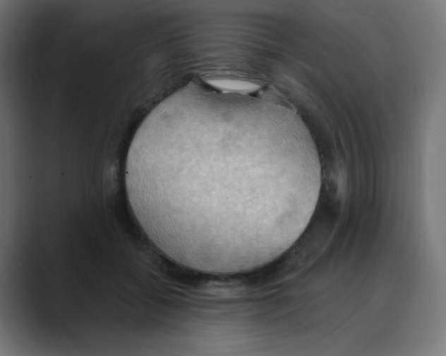 X0000088490556200706191426