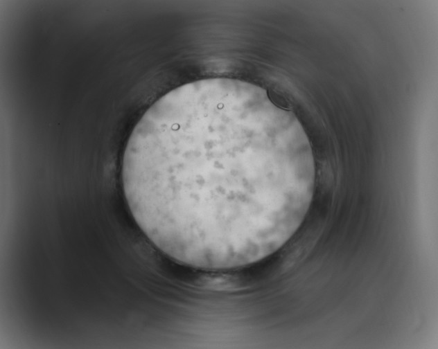 X0000088490557200706191426