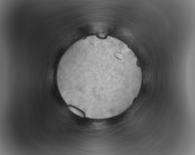 X0000088490560200706191426