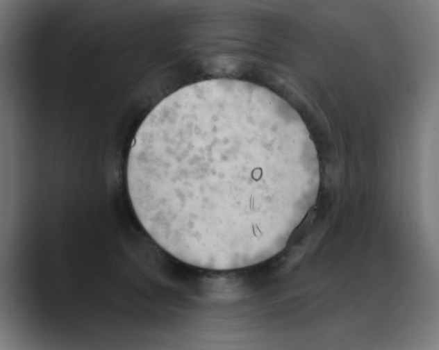 X0000088490561200706191426