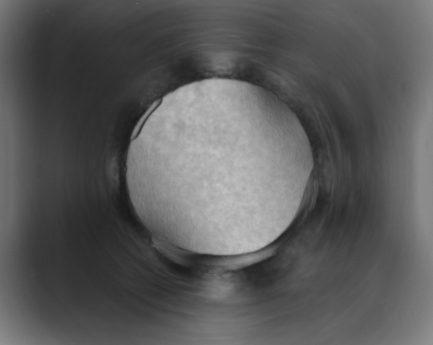 X0000088490562200706191426