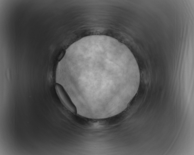 X0000088490564200706191426