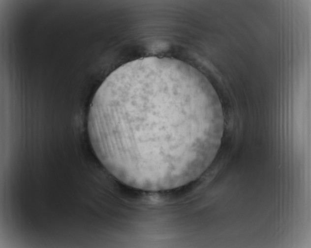 X0000088490565200706191426