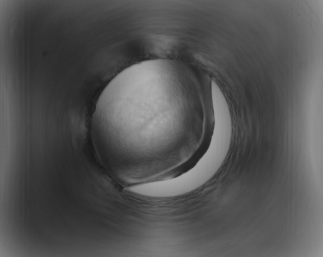 X0000088490566200706191426