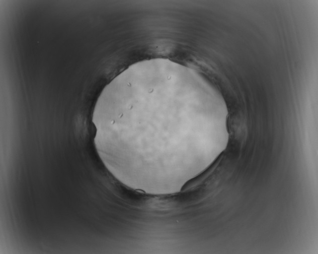 X0000088490568200706191426