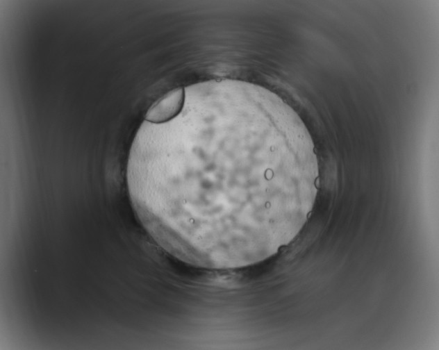 X0000088490569200706191426