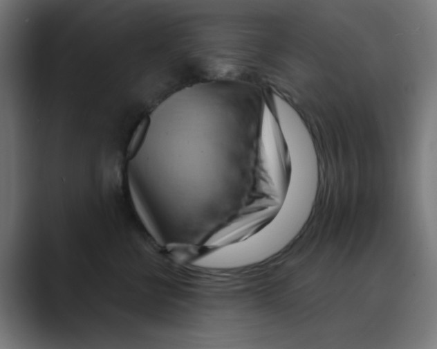 X0000088490570200706191426