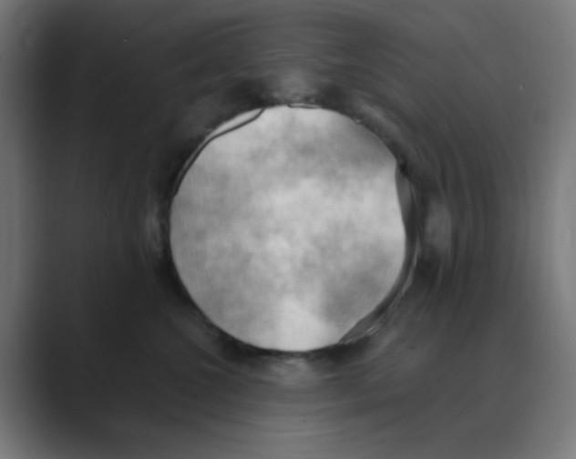 X0000088490572200706191426
