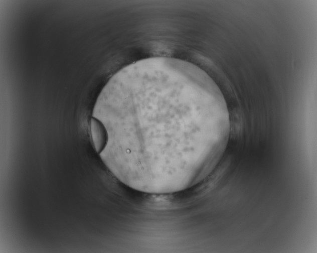 X0000088490573200706191426